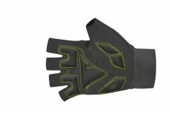 Gants Courts Illume -Activo Soldes Boutique 830001003830001004830001005830001006830001007 ILLUMESFGLOVE NEONYELLOWREAR