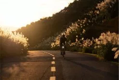 Eclairage Recon HL 200 -Activo Soldes Boutique DSCF7791