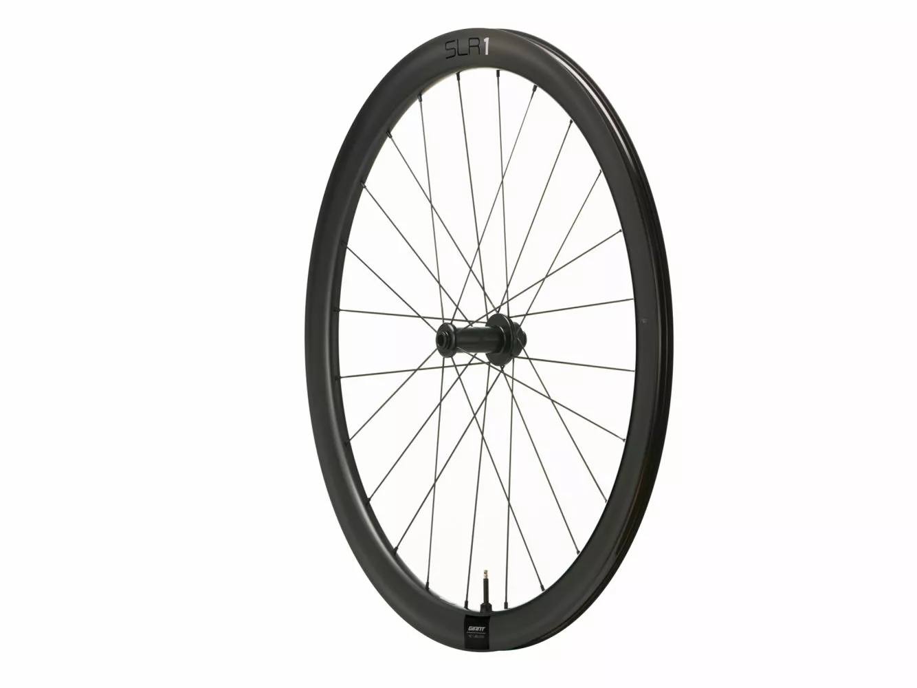 WheelSystem SLR 1 42 Disc 4 WheelSystem SLR 1 42 Disc – Image 2