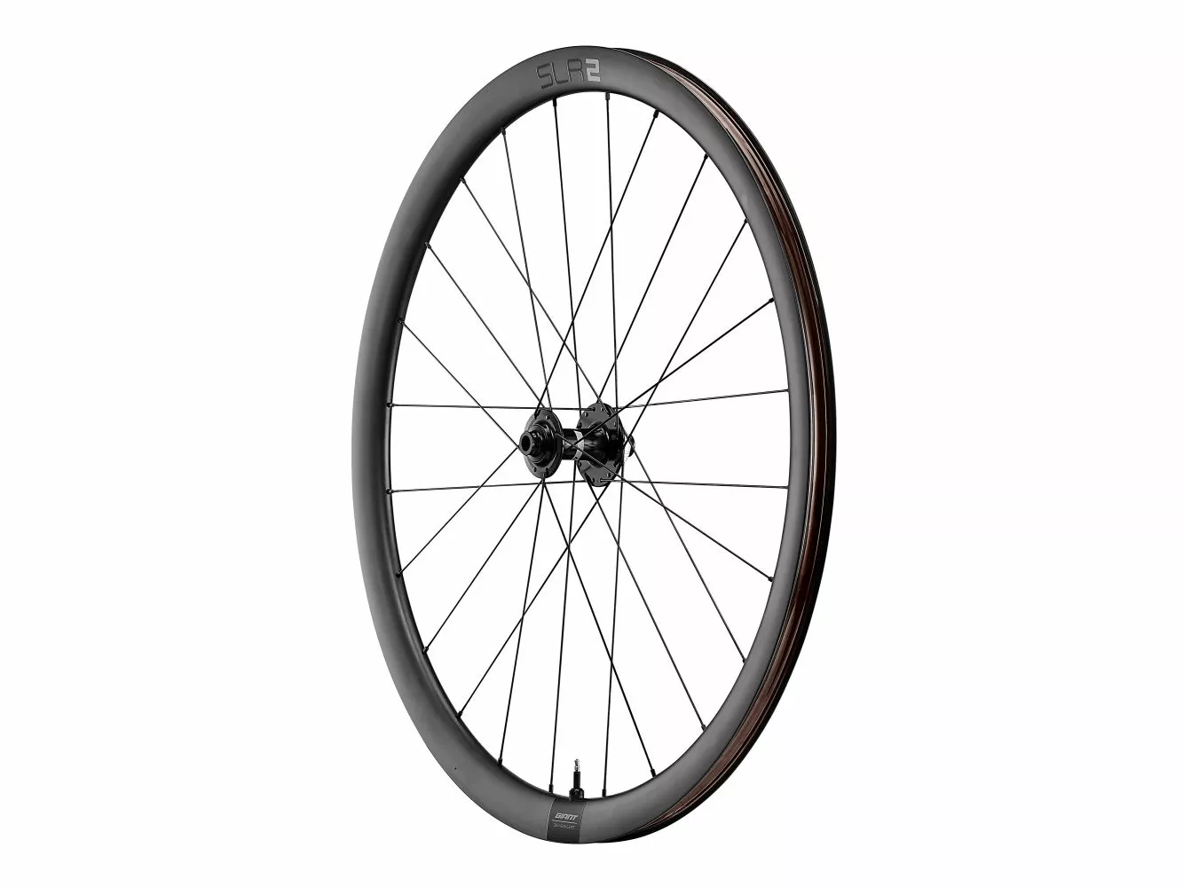 SLR 2 36 Disc Wheelsystem 4 SLR 2 36 Disc Wheelsystem – Image 2